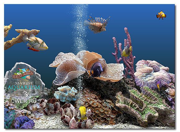 Marine Aquarium 3