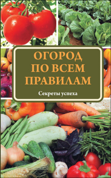 Татьяна Ситникова. Огород по всем правилам. Секреты мастерства