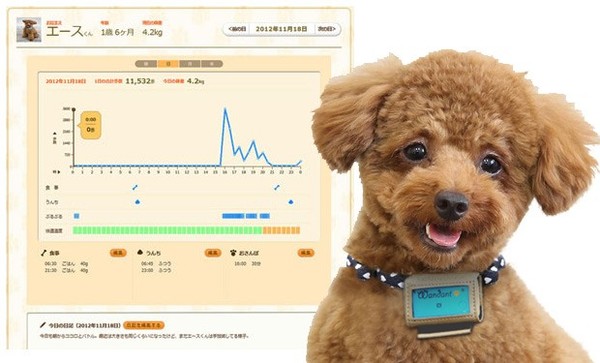 Wandant Dog Pedometer