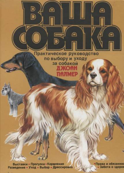 Ваша собака