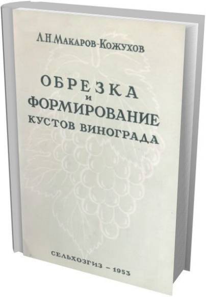 Обрезка и формирование кустов винограда