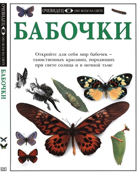 Уэйли Пол. Очевидец. Обо всем на свете. Бабочки